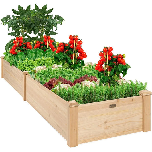 Garden Bed Planter for Vegetables,